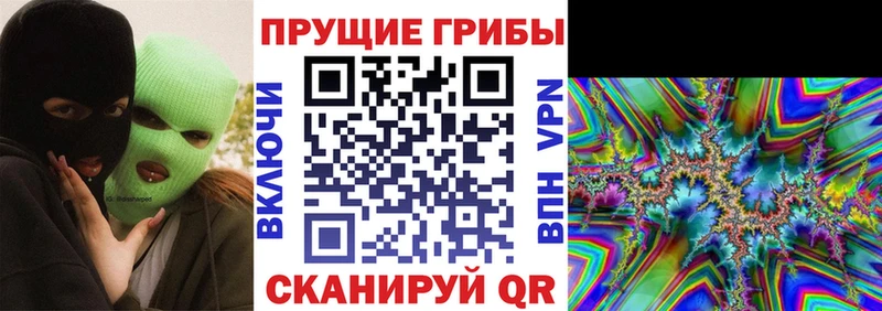 Галлюциногенные грибы Cubensis купить наркоту mega ТОР Старая Купавна