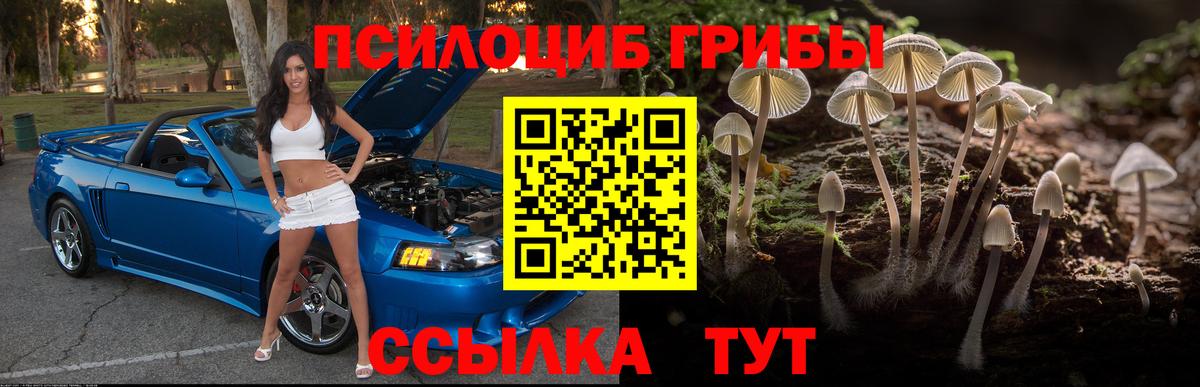 Старая Купавна  Галлюциногенные грибы мицелий  где можно купить наркотик  Вход с VPN 