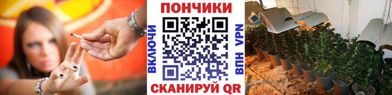 Канабис план Старая Купавна